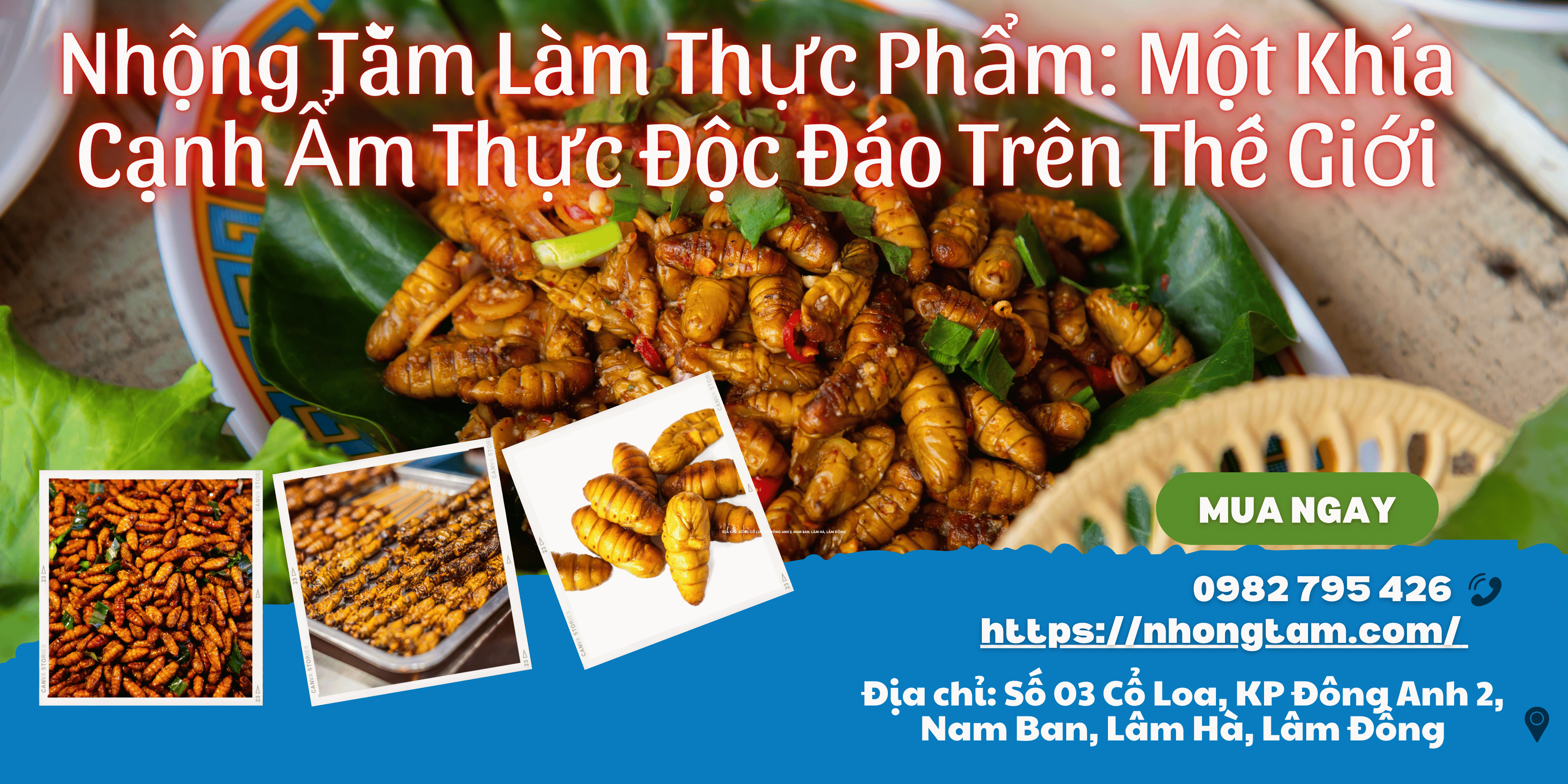 Sử dụng Nhộng Tằm Làm Thực Phẩm: Một Khía Cạnh Ẩm Thực Độc Đáo Trên Thế Giới