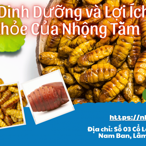 Giá Trị Dinh Dưỡng và Lợi Ích Sức Khỏe Của Nhộng Tằm